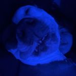 Brayden Burdick - @braydenburdick - Instagram