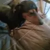 Brayden Cain - @brayden.cain3 - TikTok