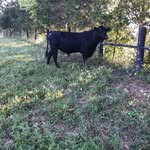 Brayden Cantrell - @brayden.cantrell.10 - Instagram