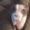 brayden_casey - @brayden_casey - TikTok