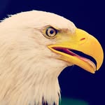 Brayden Chambers - @braydenchambers29 - Instagram