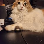 Brayden Cobb - @cobbsterb - Instagram
