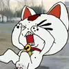 Brayden Cook - @brayden.cook690 - TikTok