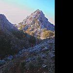 @brayden_cox - Instagram