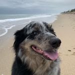 Brayden Cunningham - @brayden_j_cunningham - Instagram