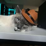 Brayden Davidson - Facebook