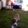 Brayden Davidson - @brayden.davidson5 - TikTok