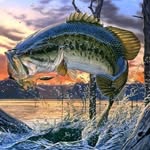 Brayden Davidson - @brayden_bassfishing - Instagram