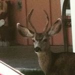 Brayden - @brayden.roger.decker - Instagram