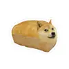 Braiden Ferrell - @braiden.ferrell - TikTok