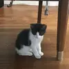 braydenfrederick8 - @brayden.frederick8 - TikTok