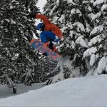 Brayden Freeman - @bfreeman_15 - Instagram