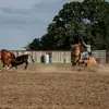 Brayden Gates - @brayden.gates6 - TikTok