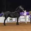 Brayden Gilbert - @brayden.gilbert08 - TikTok