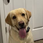 Brayden Gilbert - @bkgilbert02 - Instagram