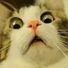 braydengilbert785 - @braydengilbert785 - TikTok