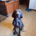 brayden grace - @braydengrace803 - Instagram