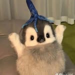 Brayden Guzman - @braykguz - Instagram