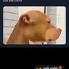 Brayden Hall - @braydenhall47 - TikTok