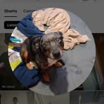 Brayden Harrell - Facebook