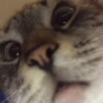 Brayden Harrison - @some.guy.named.brayden - Instagram