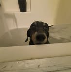 Brayden Hebert - Facebook