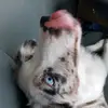 brayden_heller0 - @brayden_heller0 - TikTok
