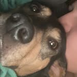 Brayden Pfundheller - @braydenpfundheller - Instagram