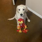 Brayden Hendrix - Facebook