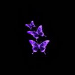Brayden Hicks - Facebook
