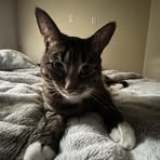 Brayden Higgins - Facebook