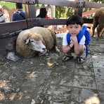 Brayden Ho - Facebook