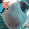 Brayden Holder - @brayden.holder - TikTok
