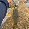 Braydenhowe - @braydenhowe19 - TikTok