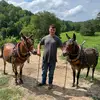 Brayden_farmboy - @braydenhurst - TikTok