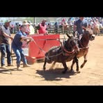 Brayden Hurst - Facebook