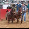 Brayden hurst - @farmboy_brayden2 - TikTok