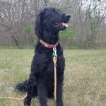 Brayden Jackson - @braydenjackson1707 - Instagram