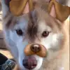Brayden Joyce  - @xxbrayden911 - TikTok