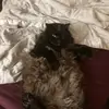 braydenjudd7 - @largebox1 - TikTok