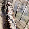Brayden king - @brayden_king__6 - TikTok