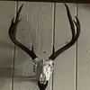 braydenking216 - @braydenking216 - TikTok