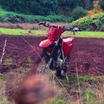 Braydenking - @brayden_king.1 - Instagram