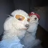 BK_356 - @braydenklein453 - TikTok