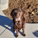 Braiden Klein - Facebook