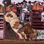 Brayden Lamb - @braydenwlamb - Instagram