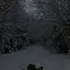 Brayden Lambert - @brayden.lambert2 - TikTok
