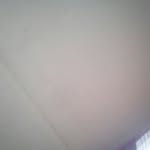 Brayden Lambert - @brayden.lambert.5205 - Instagram