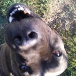 Brayden Larson - @braydenlarson640 - Instagram