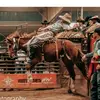 Brayden Larson - @blarson14 - TikTok